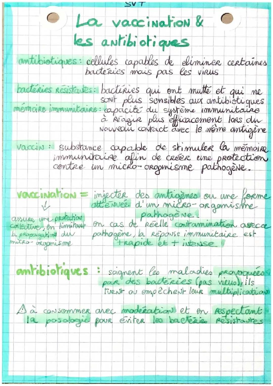 Comment Éviter la Résistance aux Antibiotiques et Pourquoi la Vaccination est Importante