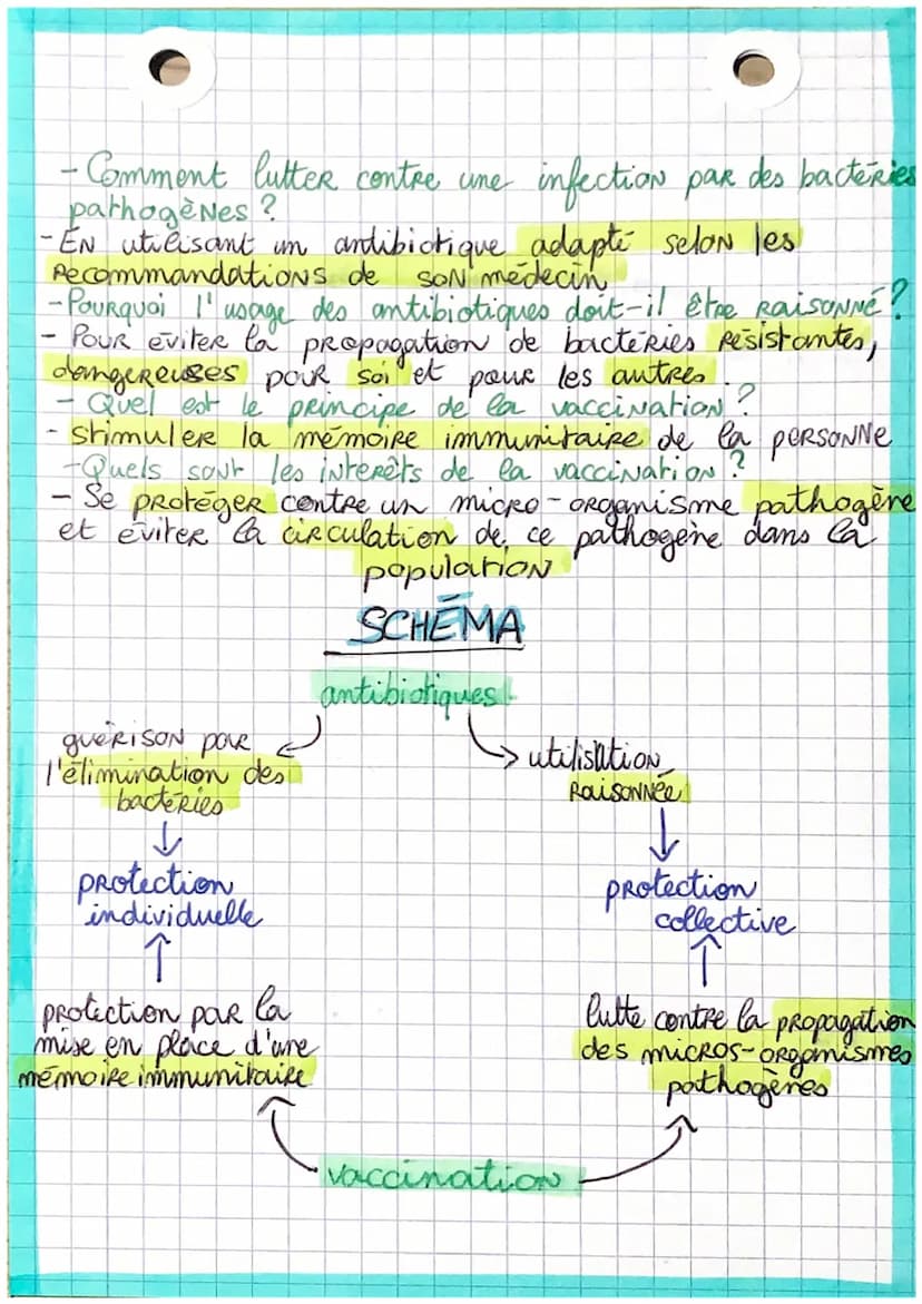 SVT
La vaccination &
les antibiotiques
antibiotiques : cellules capables de eliminer certaines
bacteries mais pas les virus
bactéries Résist