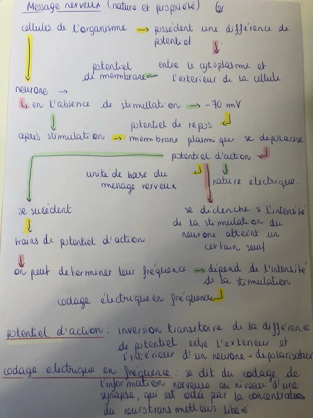 Message nerveux (nature et propriété) (21
cellules de l'organisme
potentiel
de membrane
pussedent une différence de
potential
↓
entre le cyt
