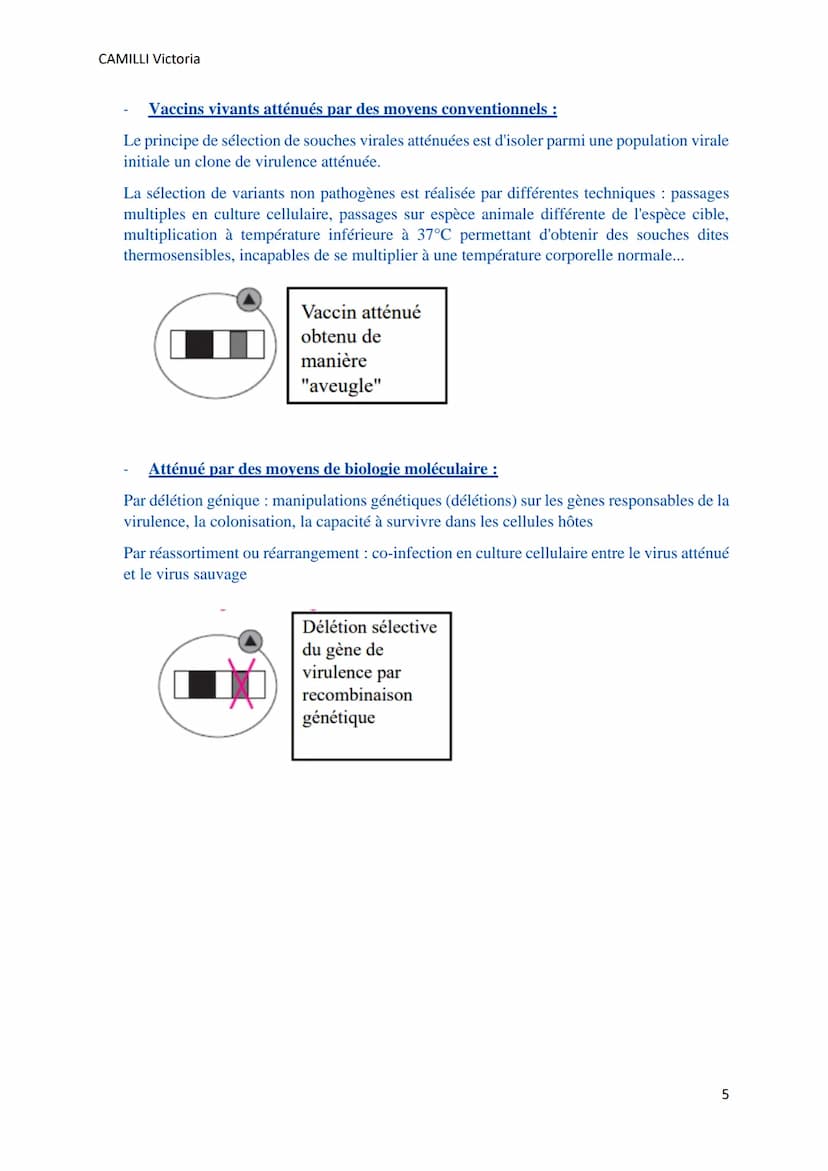 CAMILLI Victoria
VACCINS ET
VACCINATIONS
I) Généralités
IMMUNITE ACTIVE = IMMUNISATION
Chaque individu produit ses propres anticorps :
o En 