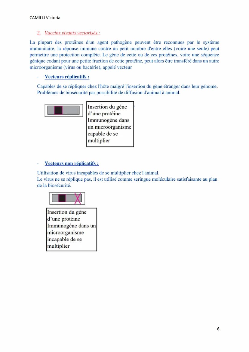 CAMILLI Victoria
VACCINS ET
VACCINATIONS
I) Généralités
IMMUNITE ACTIVE = IMMUNISATION
Chaque individu produit ses propres anticorps :
o En 