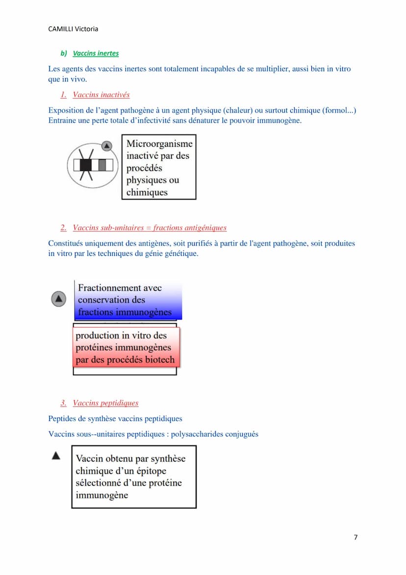 CAMILLI Victoria
VACCINS ET
VACCINATIONS
I) Généralités
IMMUNITE ACTIVE = IMMUNISATION
Chaque individu produit ses propres anticorps :
o En 