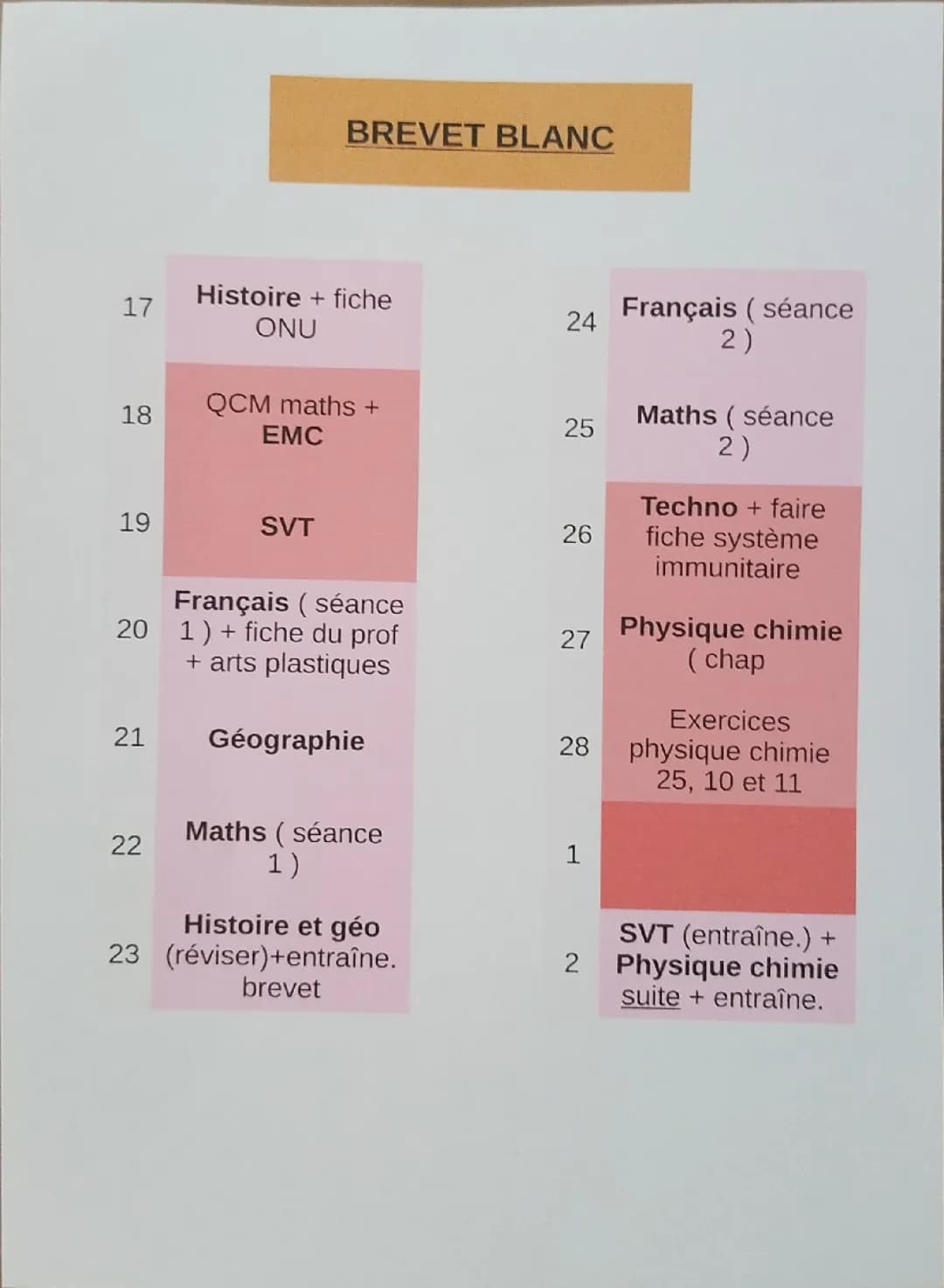 Planning brevet blanc 