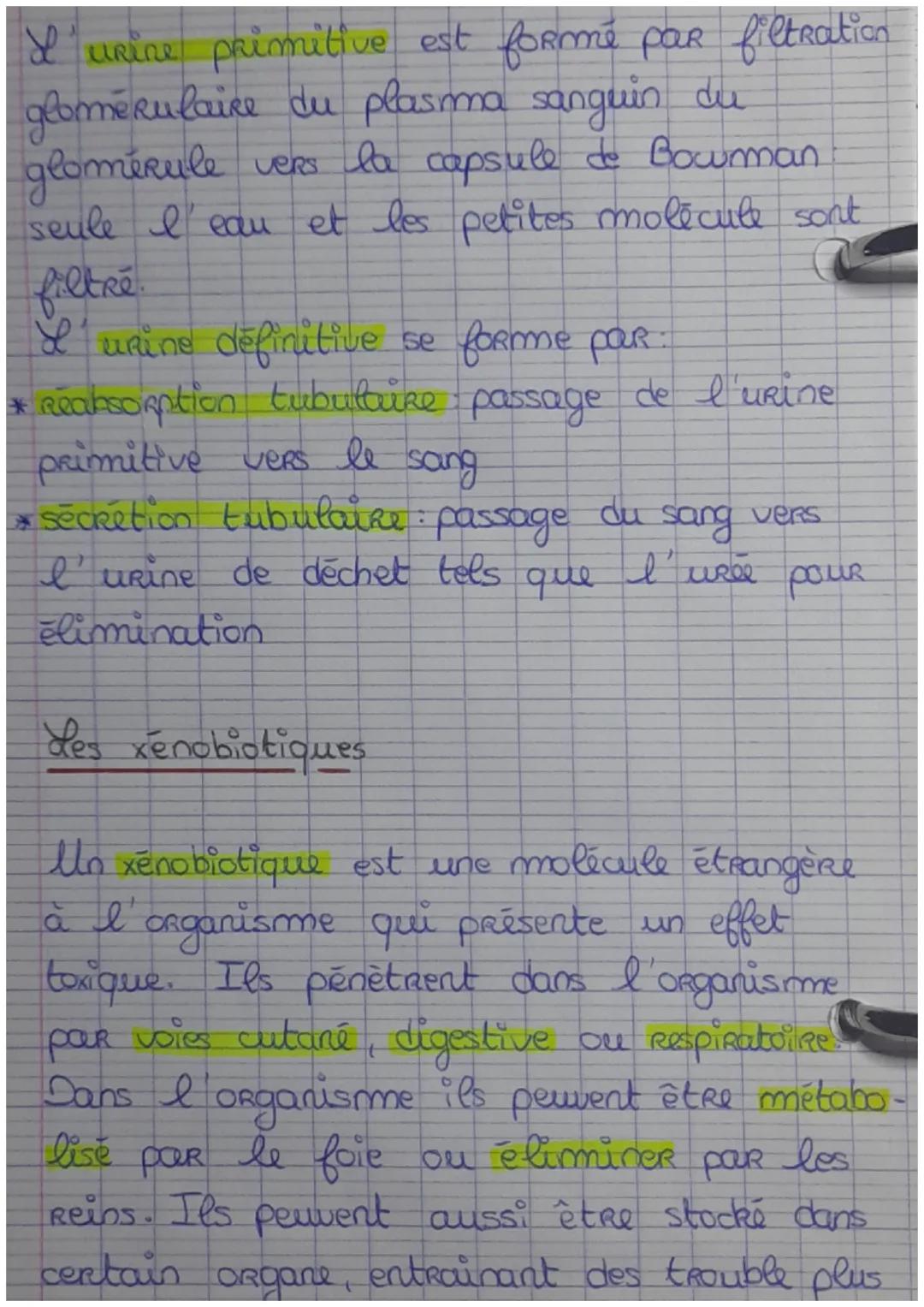 Chapitre 1. Le milieu intérieur et sa Régulat-
ion
Millieu interieur et compartiment liquidien
eau Représente 60% de la masse corporelle
d'u