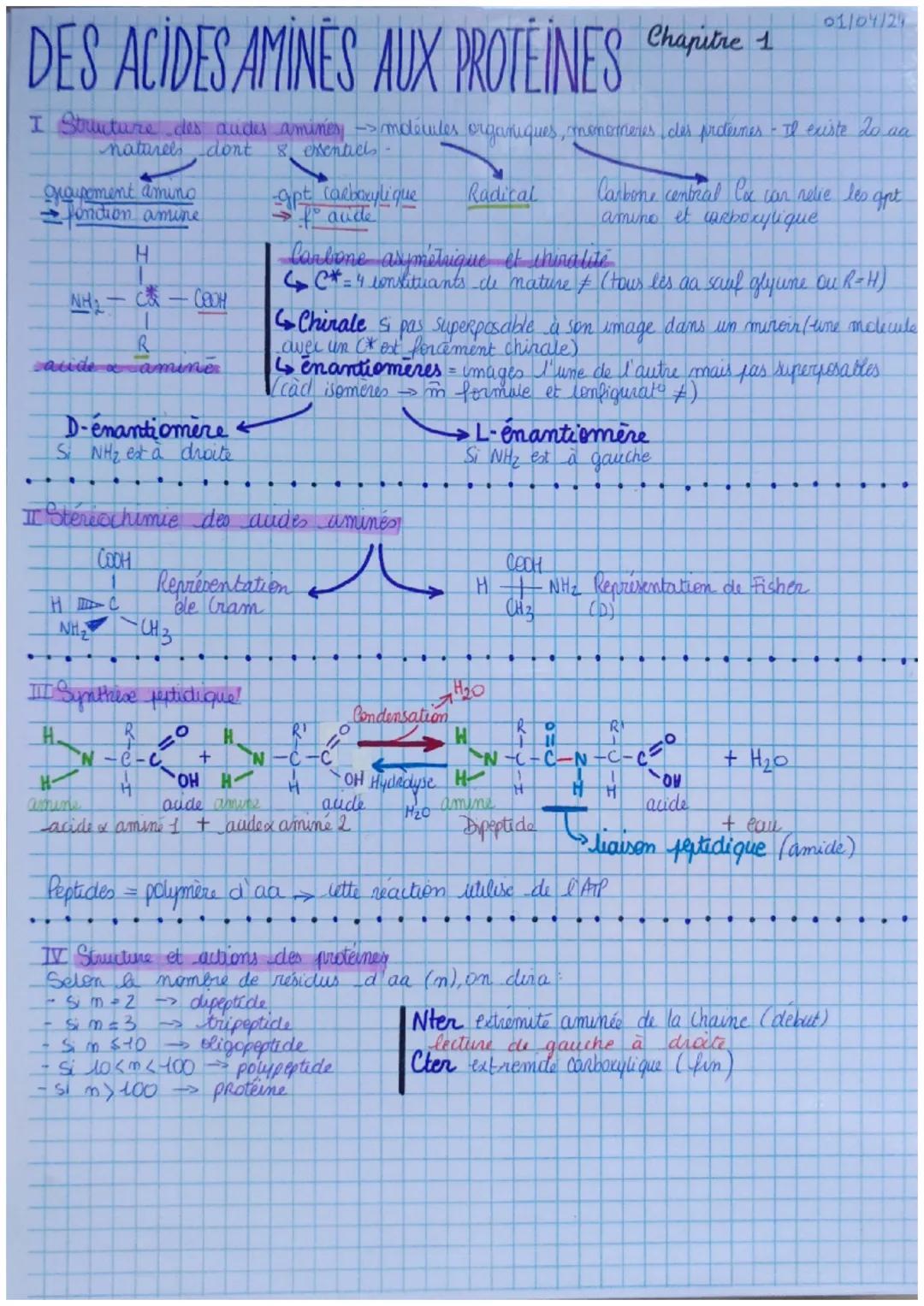 DES ACIDES AMINES AUX PROTÉINE'S Chapitre 1
01/04/29
I Structure des audes amines ->mdécules organiques, monomeres, des protermes - Il exist