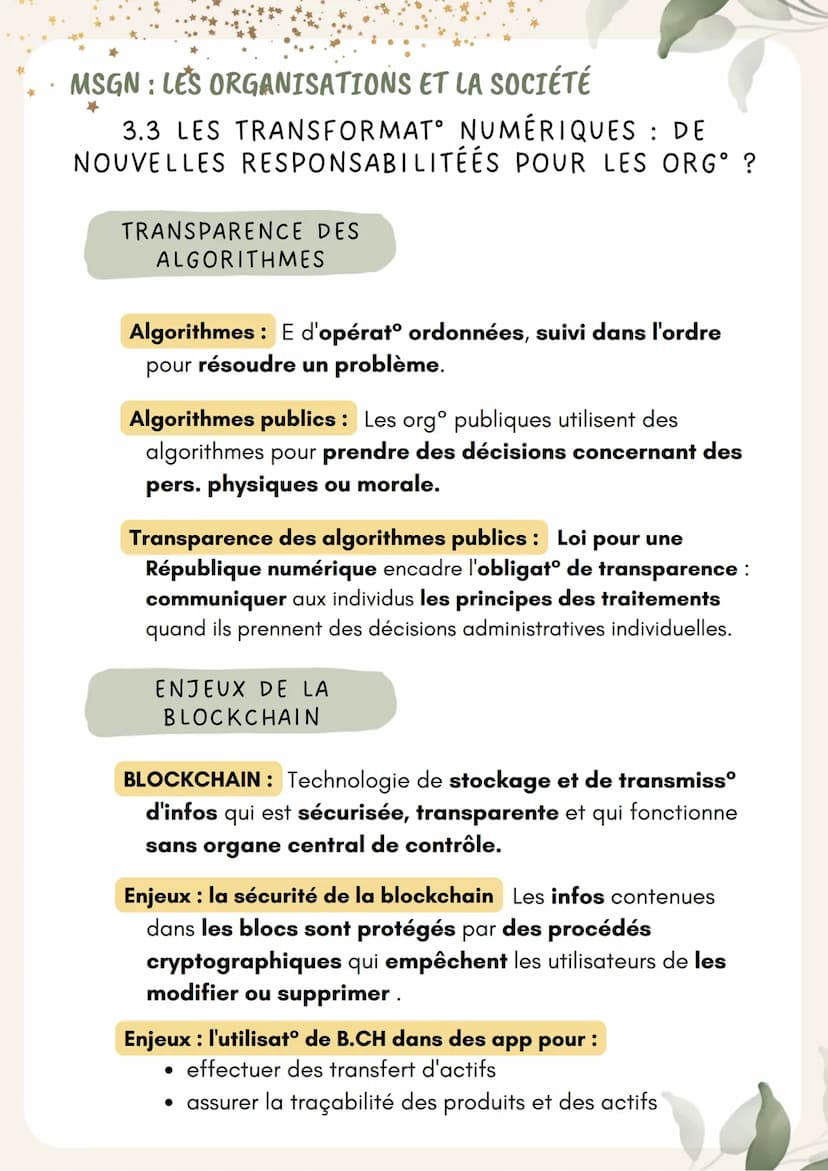 th
MSGN: LES ORGANISATIONS ET LA SOCIÉTÉ
3.1 LES ORGANISATIONS PEUVENT-ELLES
S'AFFRANCHIR DES QUESTIONS DE SOCIÉTÉ ?
ÉTHIQUE
Réflexion sur l
