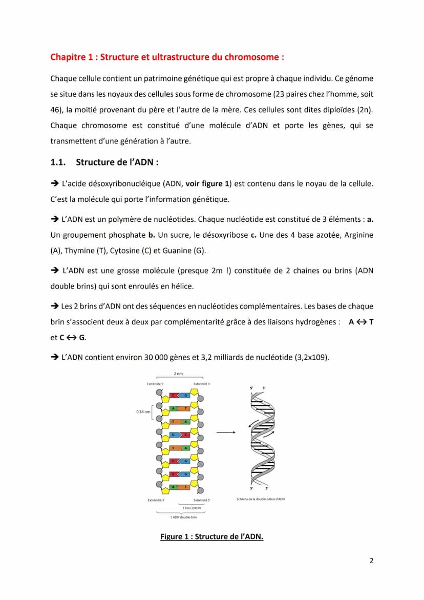 PARTIE 4: L'information génétique et son expression
Chapitre 1 : Structure et ultrastructure du chromosome :
1.1. Structure de l'ADN
1.2. De