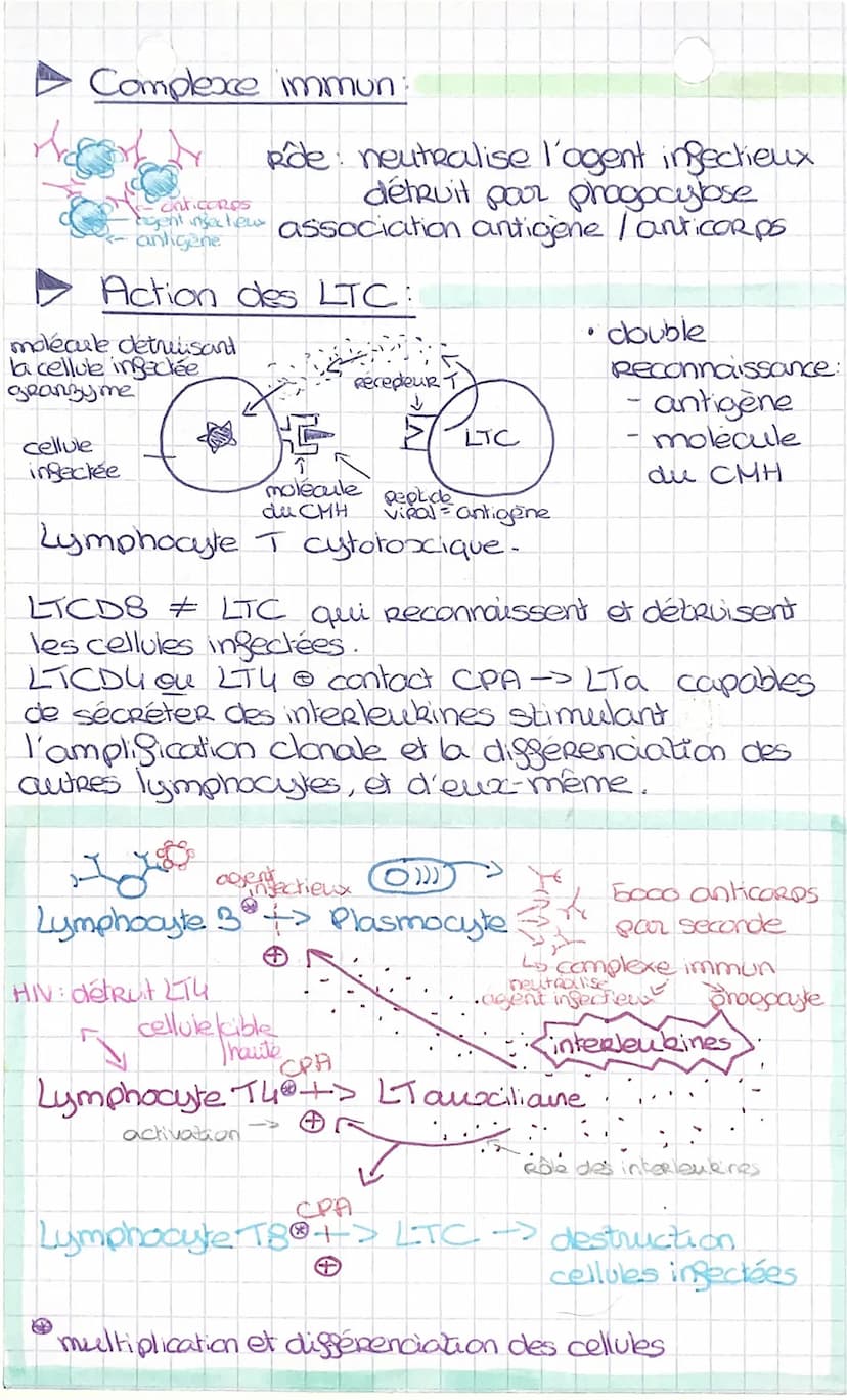Réaction inflammatoire :
1) contamination →>agent infectieux-surface:
antigenes.
2) agent infectieux-> détecté : cellules sentinelles
- Réce