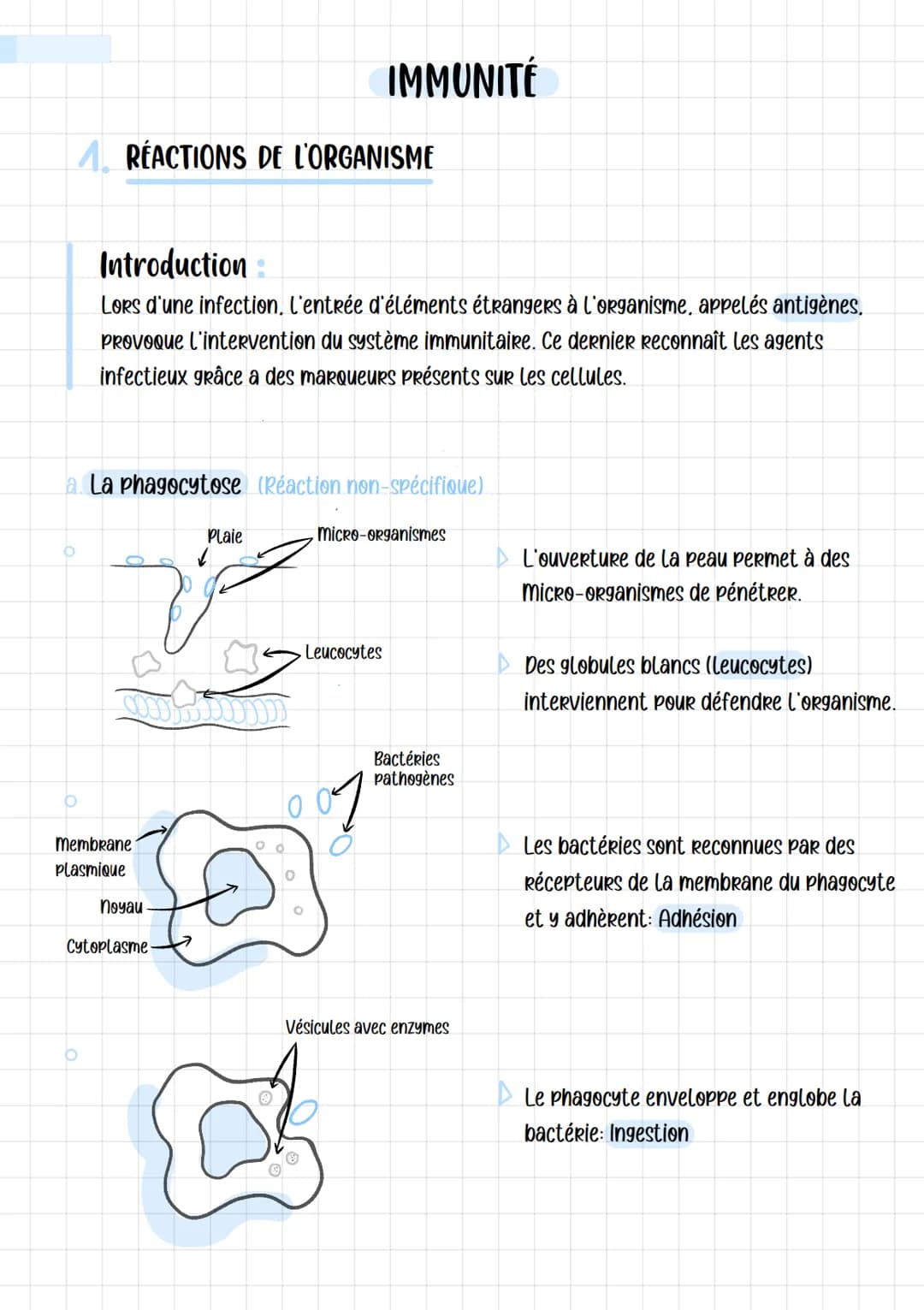 O
4. REACTIONS DE L'ORGANISME
a. La phagocytose (Réaction non-spécifique)
Introduction
LORS d'une infection, l'entrée d'éléments étrangers à