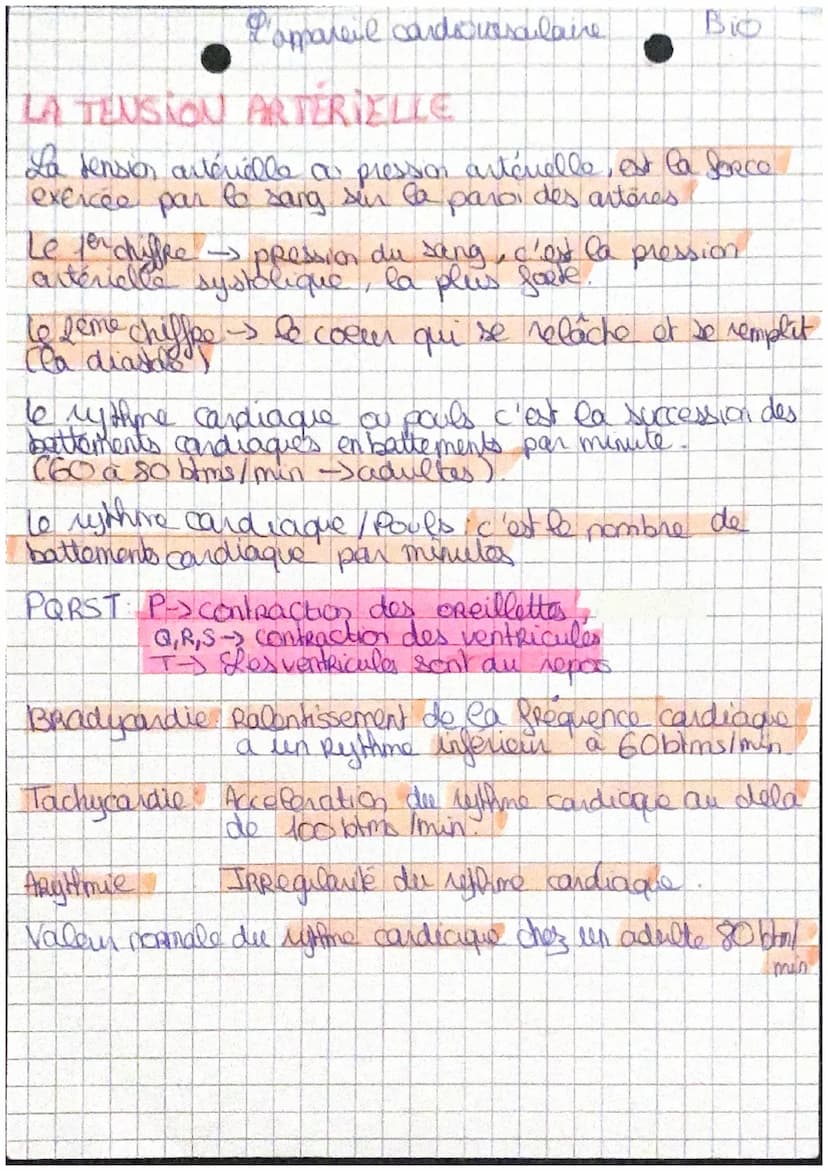 L
artères
pulmonaires
Cœur droit:
Oreillette droite (OD),
ventricule droit (VD)
Caur gauche:
oreillette gauche(OG),
ventricule gauche (VG)
v