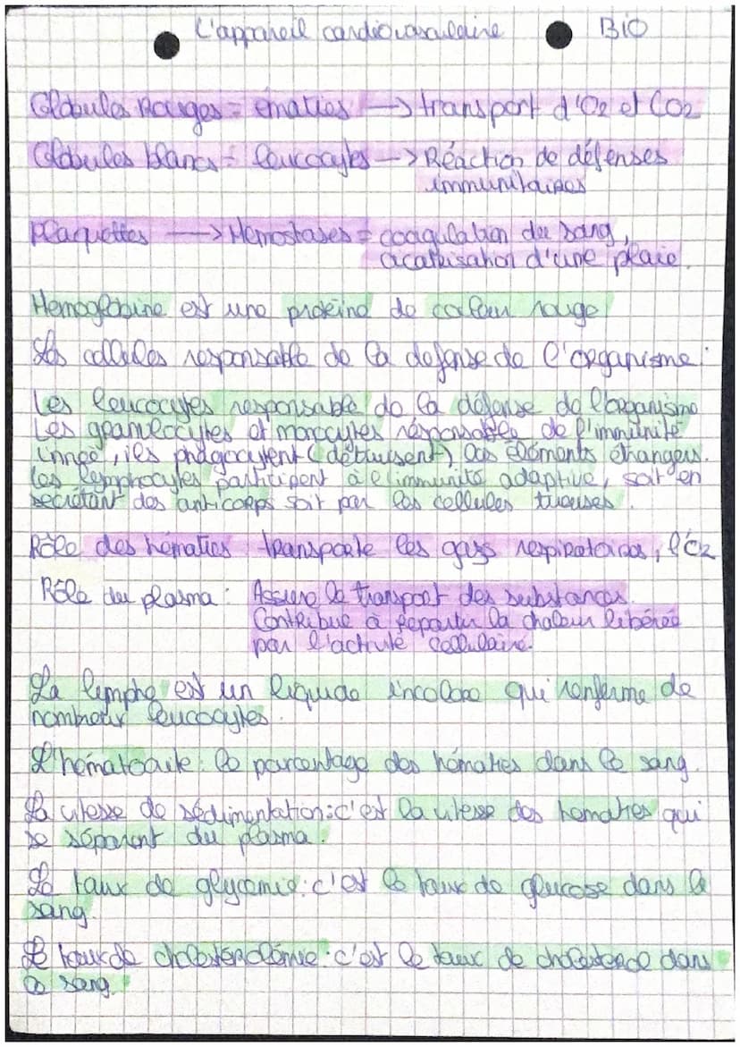 L
artères
pulmonaires
Cœur droit:
Oreillette droite (OD),
ventricule droit (VD)
Caur gauche:
oreillette gauche(OG),
ventricule gauche (VG)
v