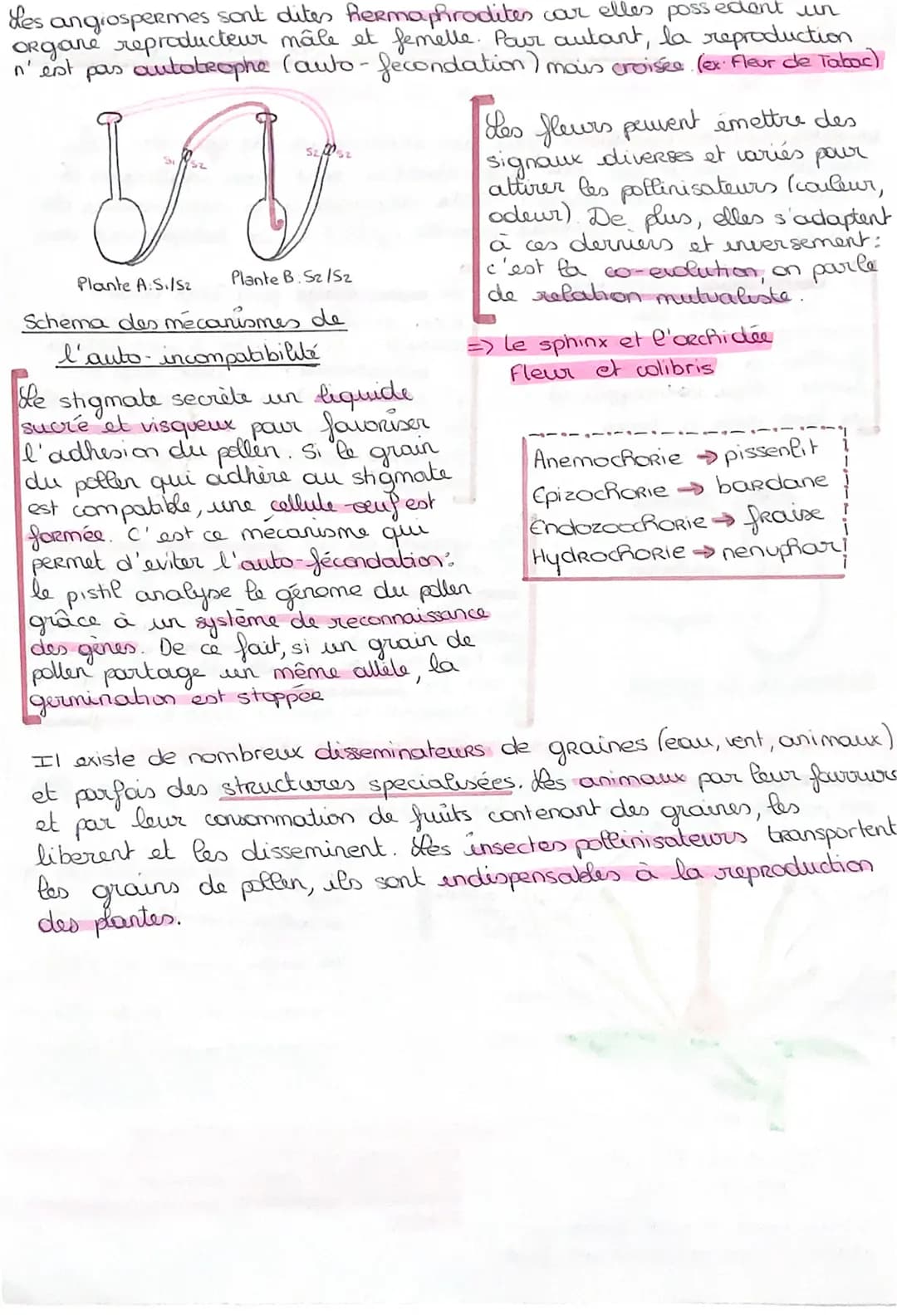عسم
fait pas
intervenir de gamètes. Les
LA REPRODUCTION ASEXUEE ne
cette
individus obtenus
par reproduction sont tous identiques à
l'individ