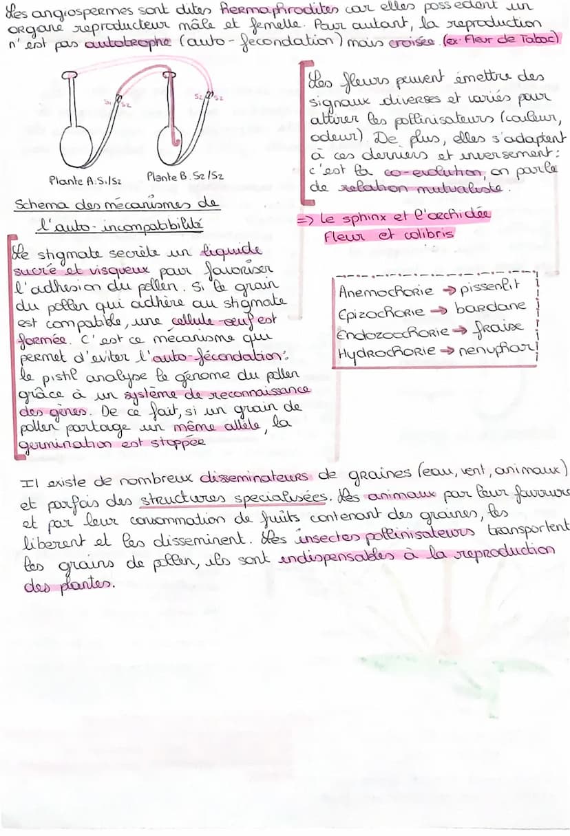 عسم
fait pas
intervenir de gamètes. Les
LA REPRODUCTION ASEXUEE ne
cette
individus obtenus
par reproduction sont tous identiques à
l'individ