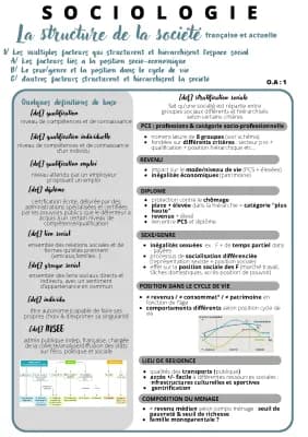 Know STRUCTURE DE LA SOCIÉTÉ FRANÇAISE ACTUELLE  thumbnail