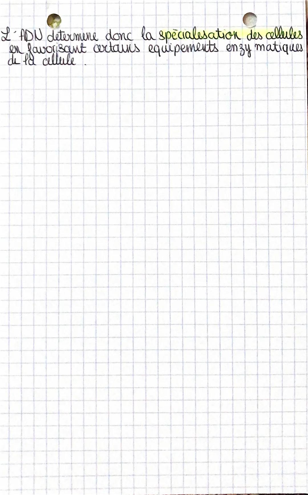 to
Chap I
IL
II. L'ADN est à l'origine de la specialisation des cellules
Structure de l'ADN: Constituée, de deux chaines ou
bring complement