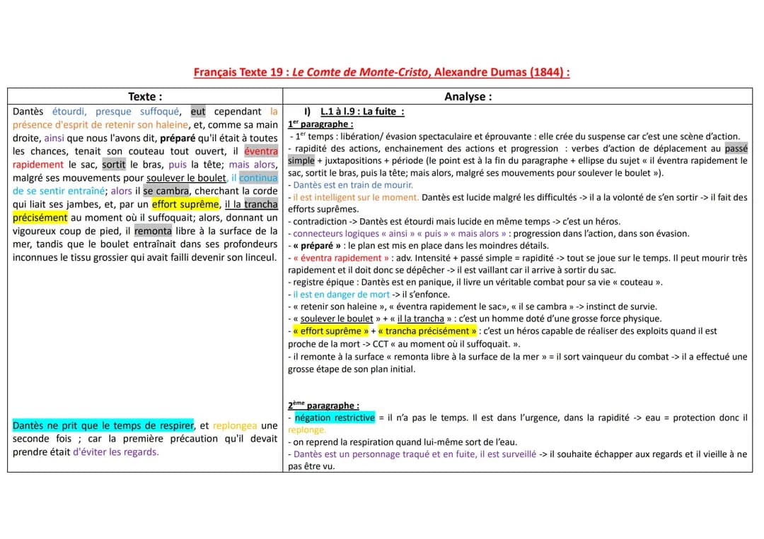 Le Comte de Monte-Cristo : Analyse Linéaire et Questions