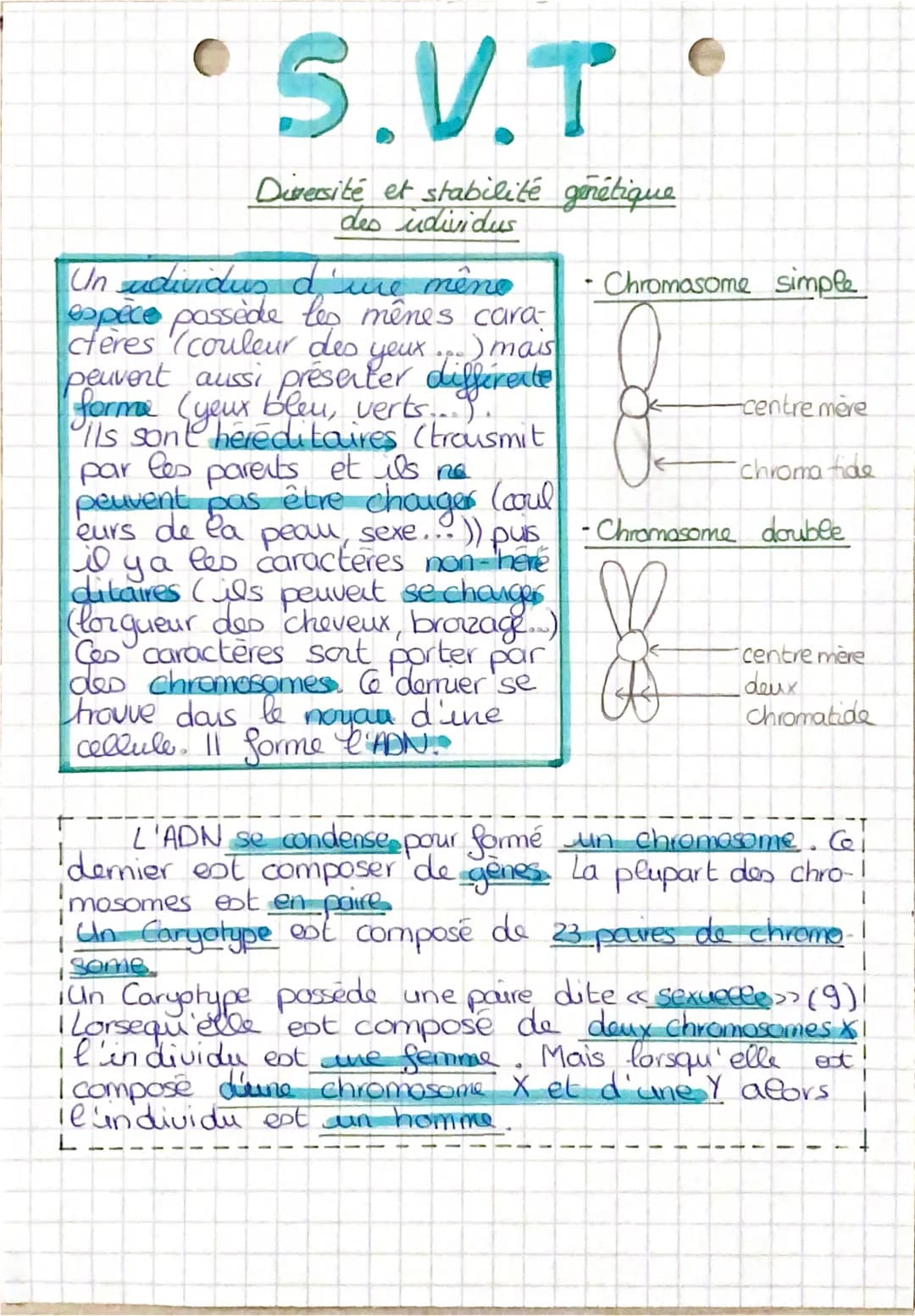 S.V.T
Diversité et stabilité génétique
des udividus
Un udividus d'une même
espèce possède les mênes cara-
ceres (couleur des -)mais
peuvent 