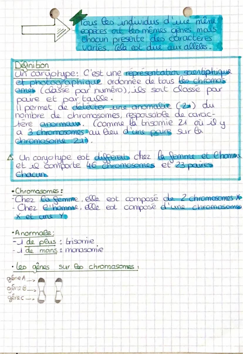 S.V.T
Diversité et stabilité génétique
des udividus
Un udividus d'une même
espèce possède les mênes cara-
ceres (couleur des -)mais
peuvent 