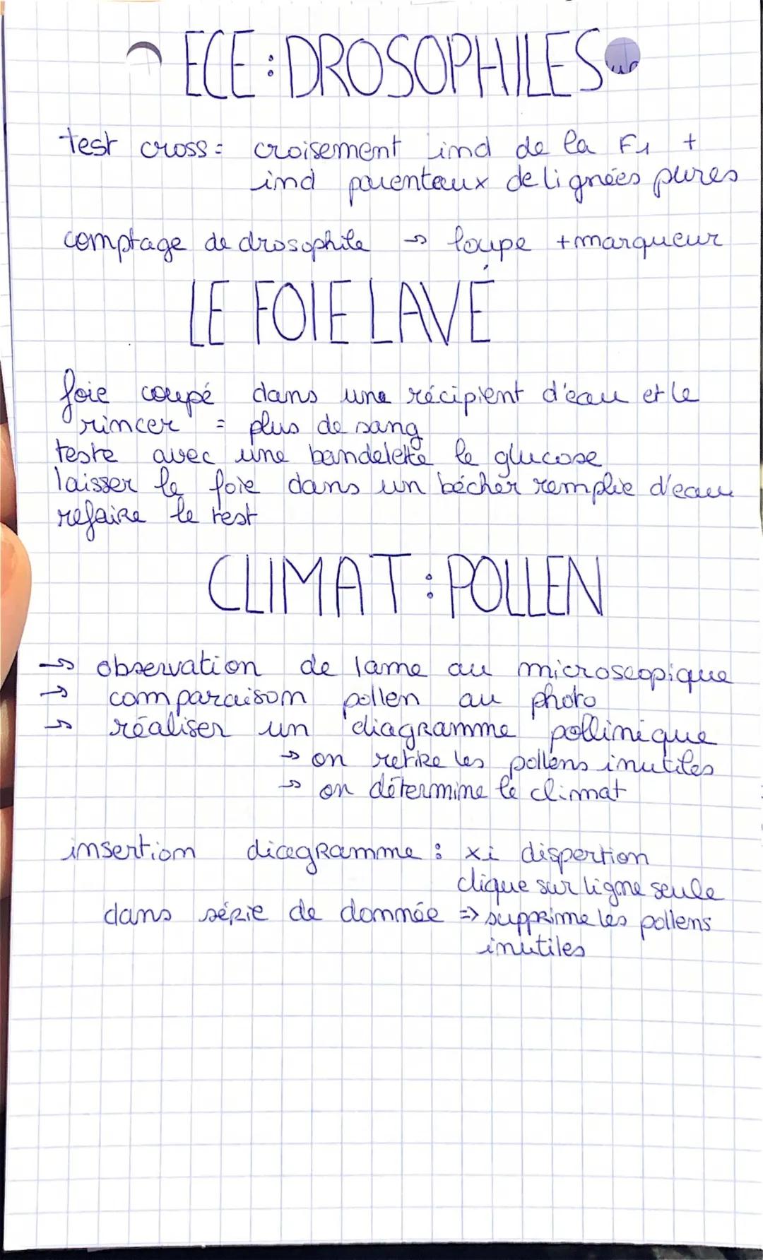 Découvre le TP Drosophile Corrigé et l'Hydrolyse de l'Amidon