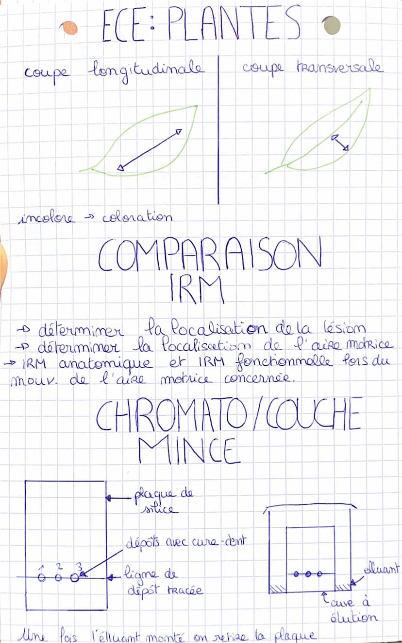 •ECE: DROSOPHILES
test cross croisement Lind de la Fu
ind pauentaux de lignées pures
loupe + marqueur
comptage de drosophile
LE FOIE LAVE
fo