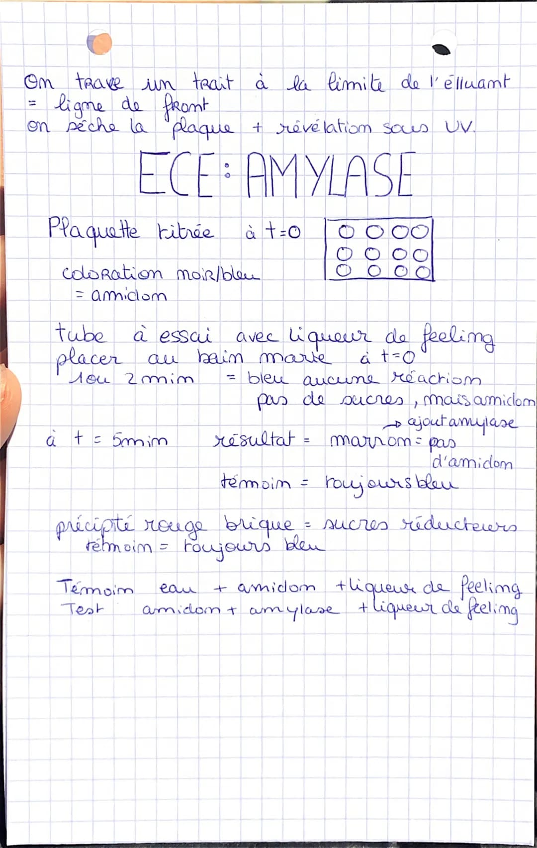 •ECE: DROSOPHILES
test cross croisement Lind de la Fu
ind pauentaux de lignées pures
loupe + marqueur
comptage de drosophile
LE FOIE LAVE
fo