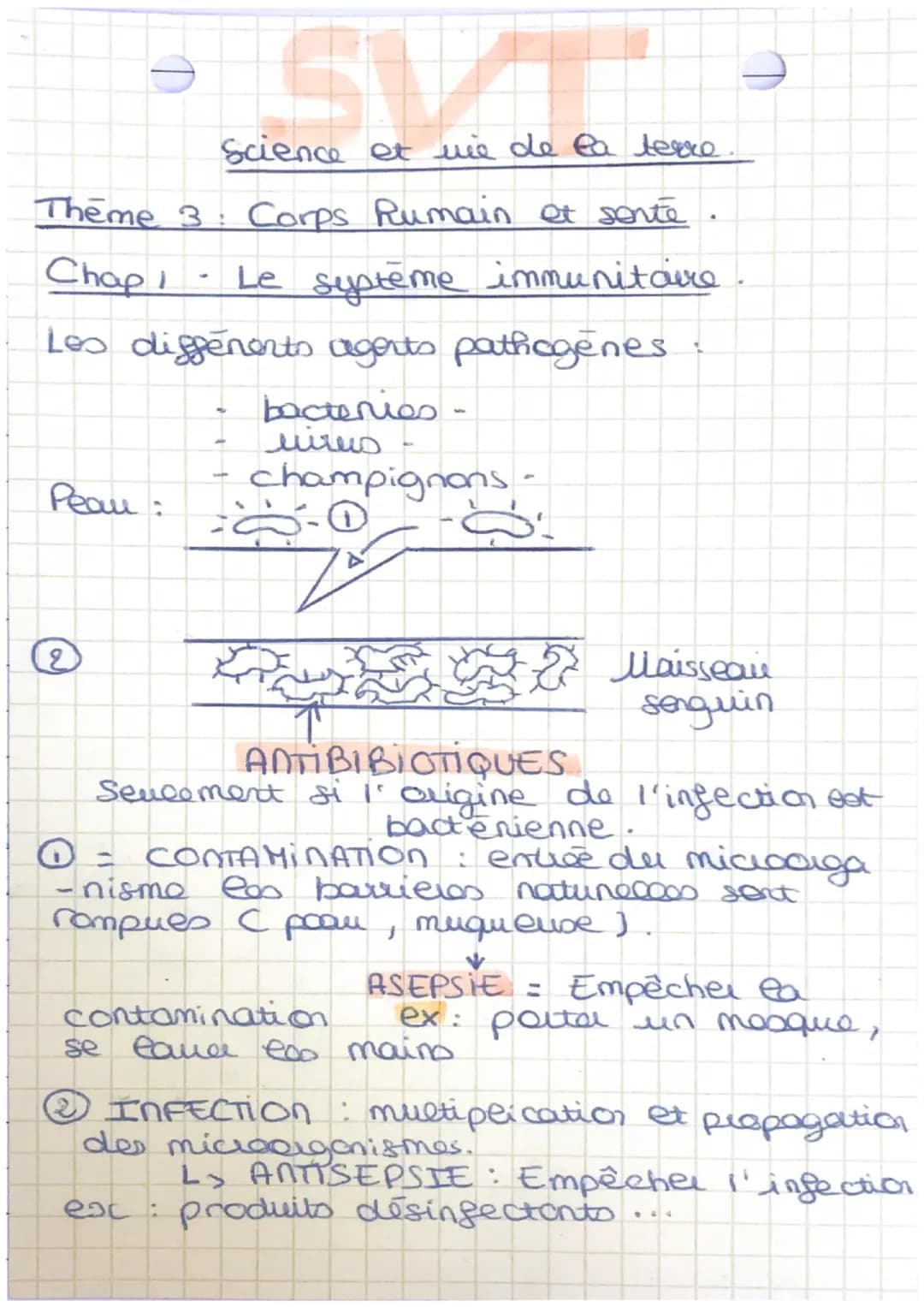 Science et wie de la terre.
Theme 3: Corps Rumain et sonte
Chap 1
Le système immunitaire
Les différents agents pathogenes.
Peau :
2
bacterie