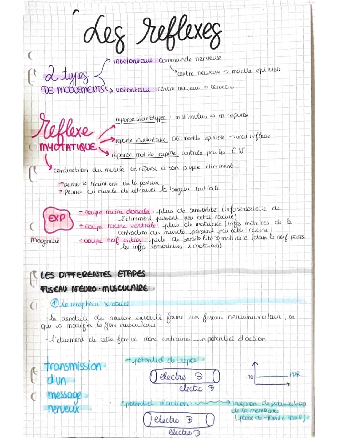 Fiche SVT terminale « les réflexes »