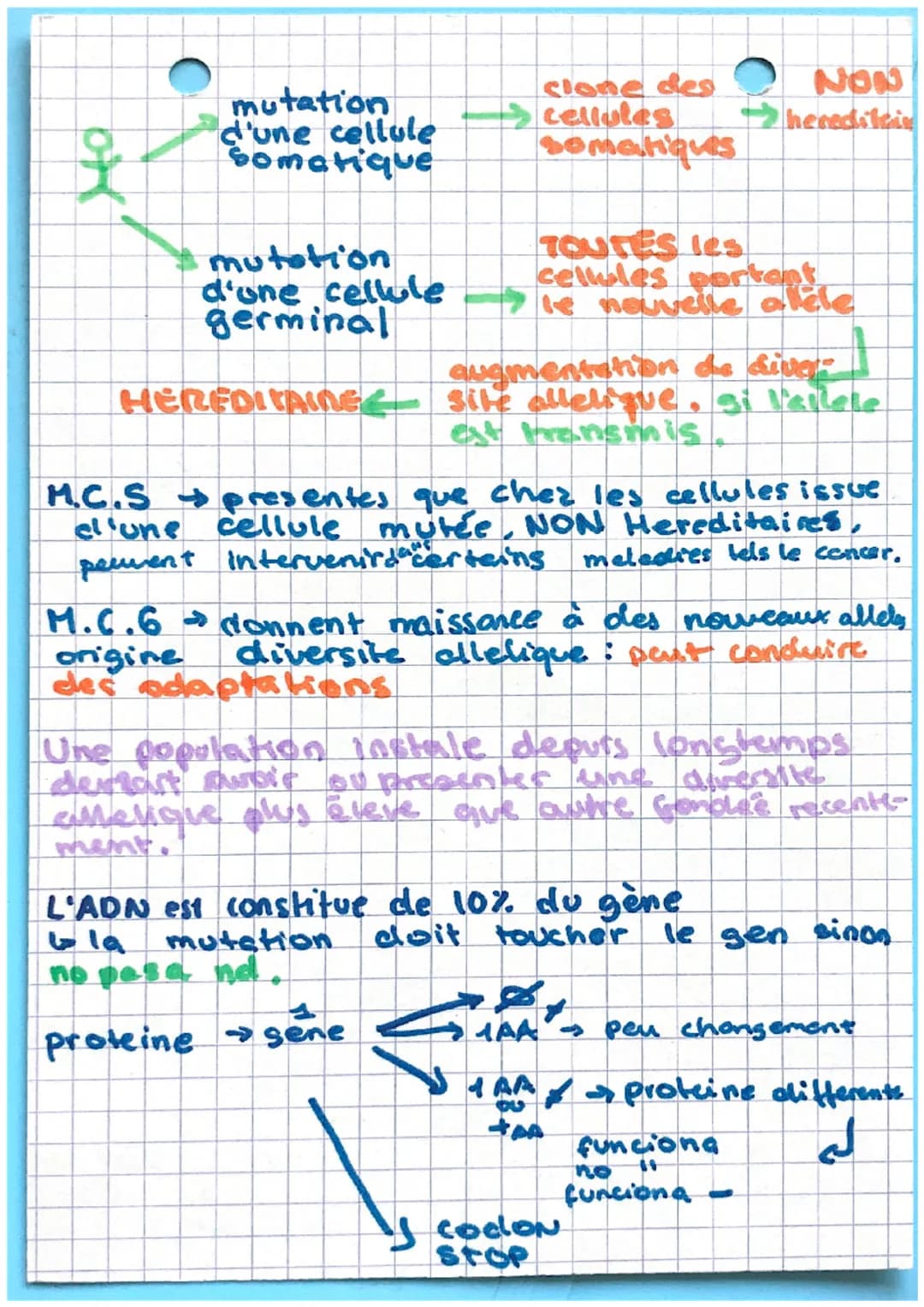 vitesse initial ate
temps
catalyser:
cocelerer une reaction
Autoradiographie
en presence des cellules avec une type
de molecules dans l'atom