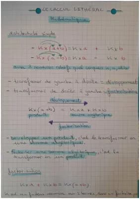 Know Le calcul lithéral : La distributivité simple en maths  thumbnail