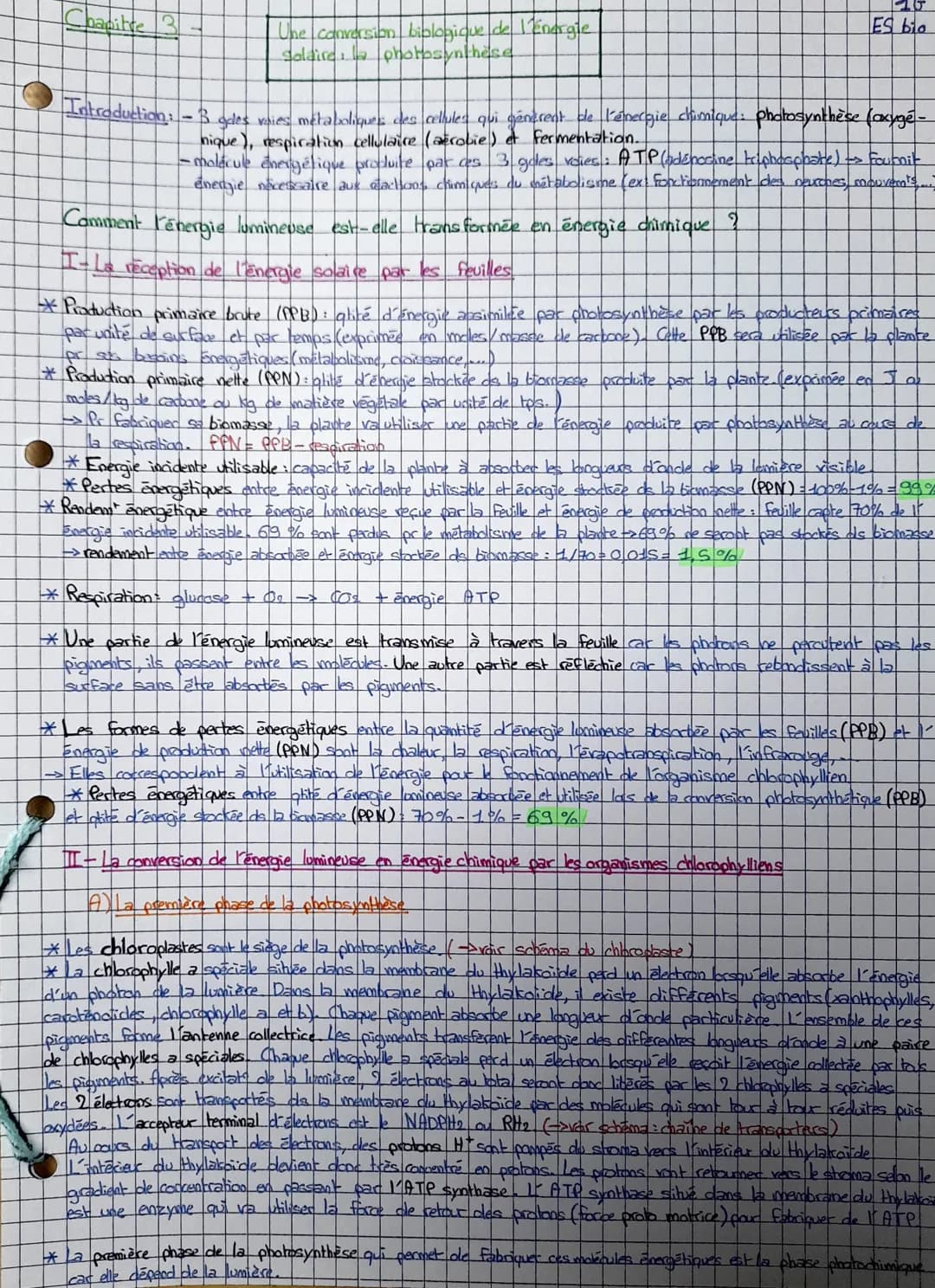 Chapitre
Une conversion biologique de l'énergie
Salaire: la photosynthèse
ES bio
Introduction: -3 gales voies métaboliques des cellules qui 