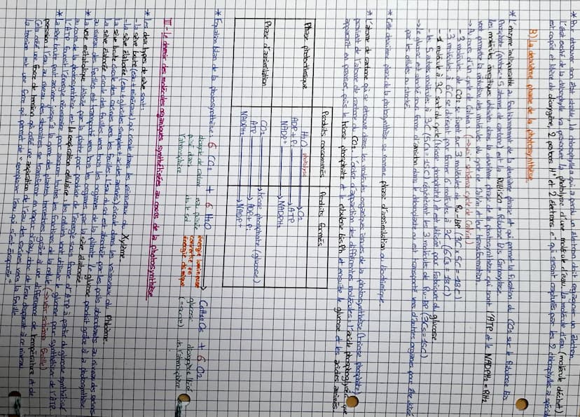Chapitre
Une conversion biologique de l'énergie
Salaire: la photosynthèse
ES bio
Introduction: -3 gales voies métaboliques des cellules qui 