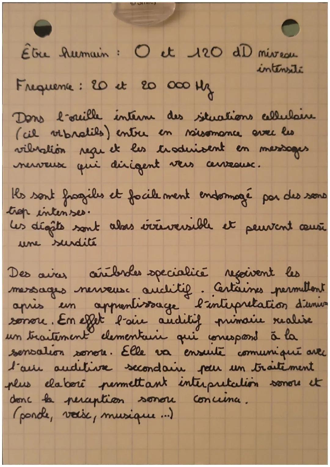 E.S. SVT

oreille
escterni

oreille
moyeme

oreille
interne
Schema trajet
du son jusqu'au
cerveau

• Orulle estem par sa forme d'entanoir ac