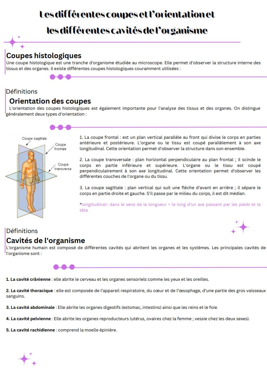 Les différentes coupes et l'orientation et
les différentes cavités de l'organisme
Coupes histologiques
Une coupe histologique est une tranch