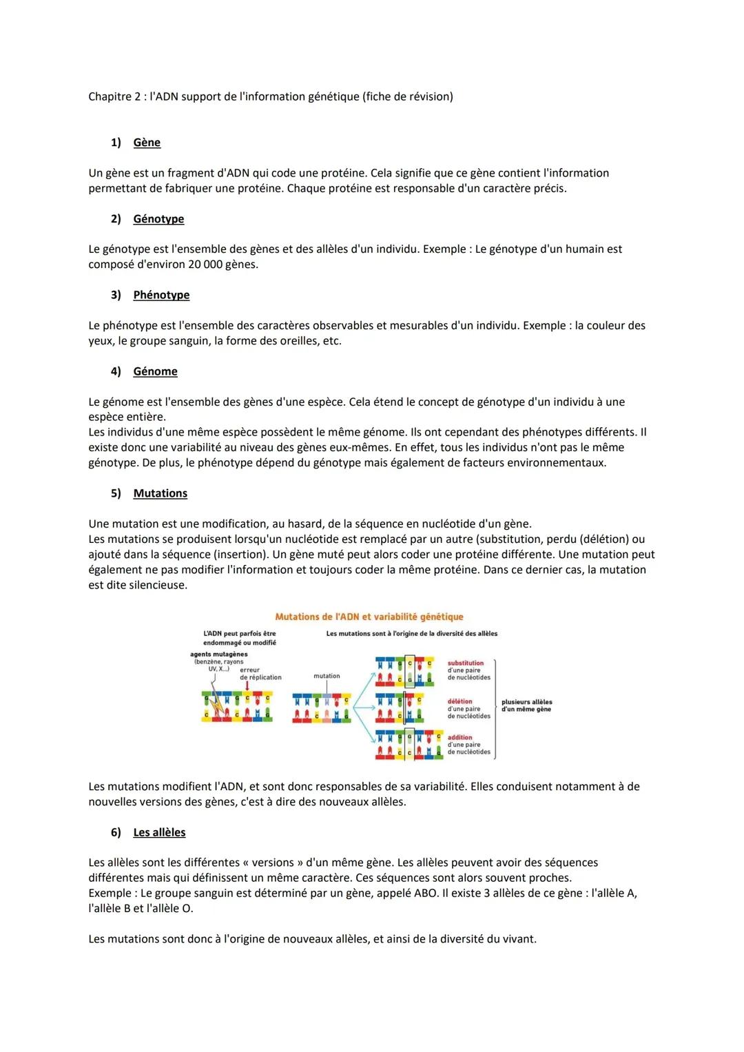 L'ADN et la formation génétique