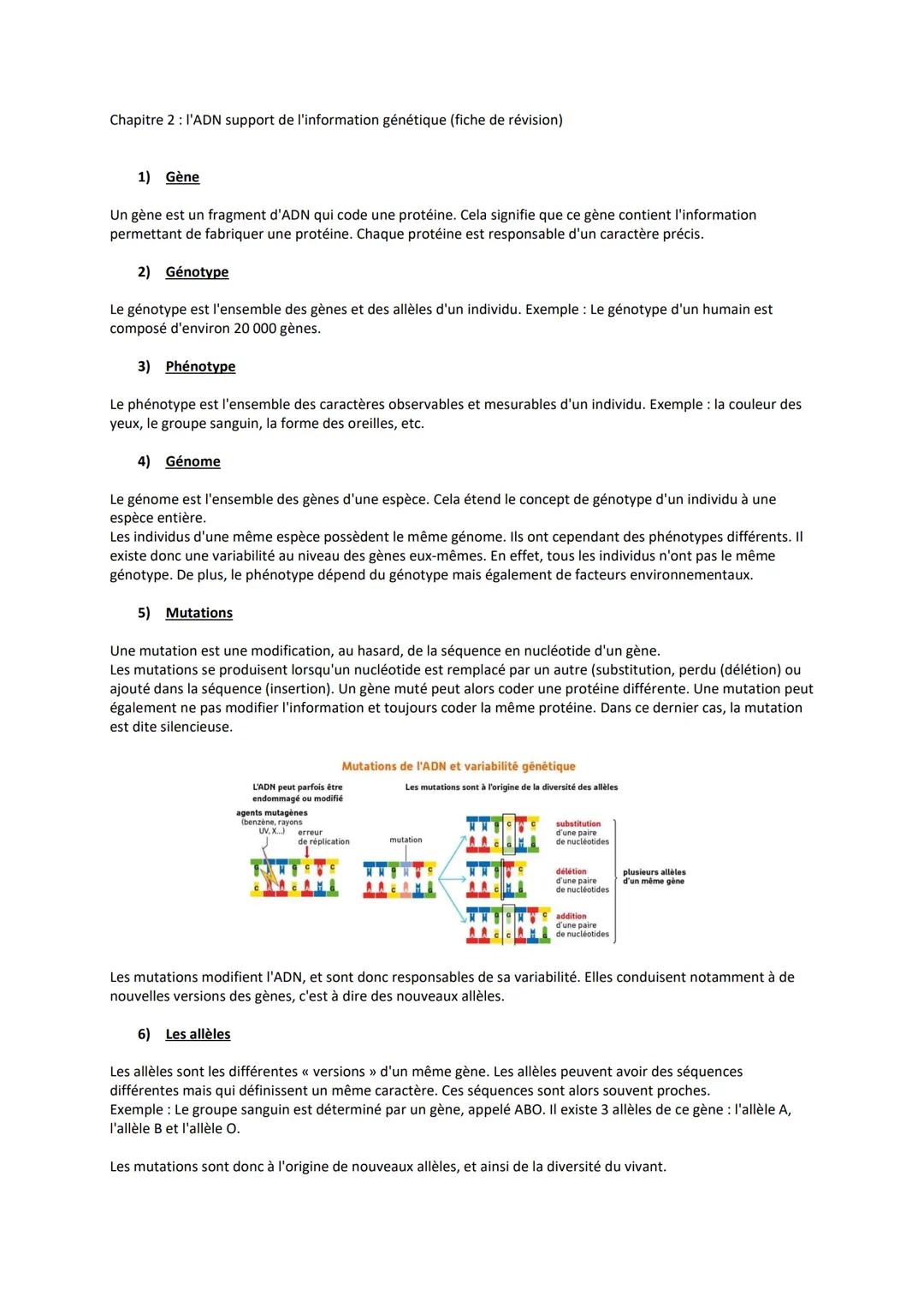 Chapitre 2 : l'ADN support de l'information génétique (fiche de révision)
1) Gène
Un gène est un fragment d'ADN qui code une protéine. Cela 
