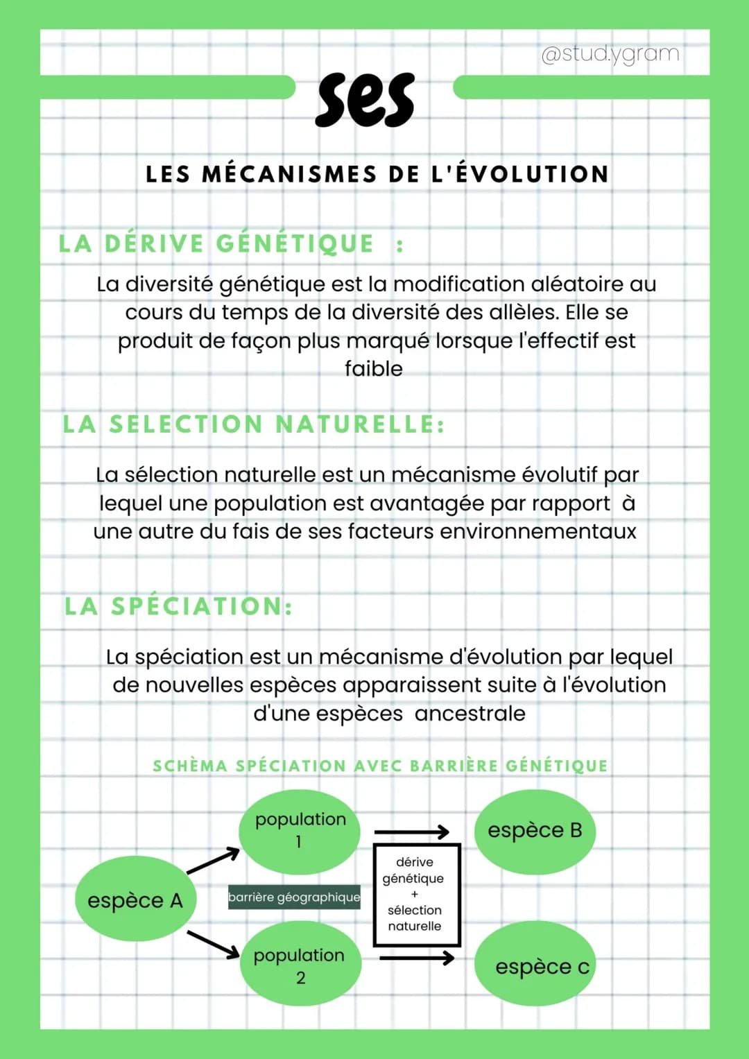 ses
LES MÉCANISMES DE L'ÉVOLUTION
LA DÉRIVE GÉNÉTIQUE :
La diversité génétique est la modification aléatoire au
cours du temps de la diversi