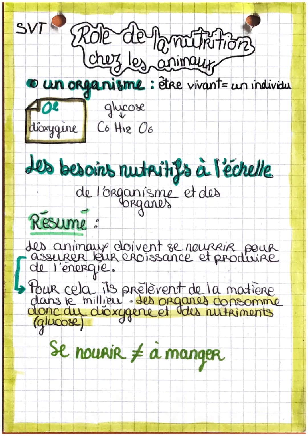 SVT
Role de la nutrition
chez les animour
60 un organisme : être vivant= un individu
40² glucose
dioxygène Co H1₂ 06
Les besoins nutritifs à