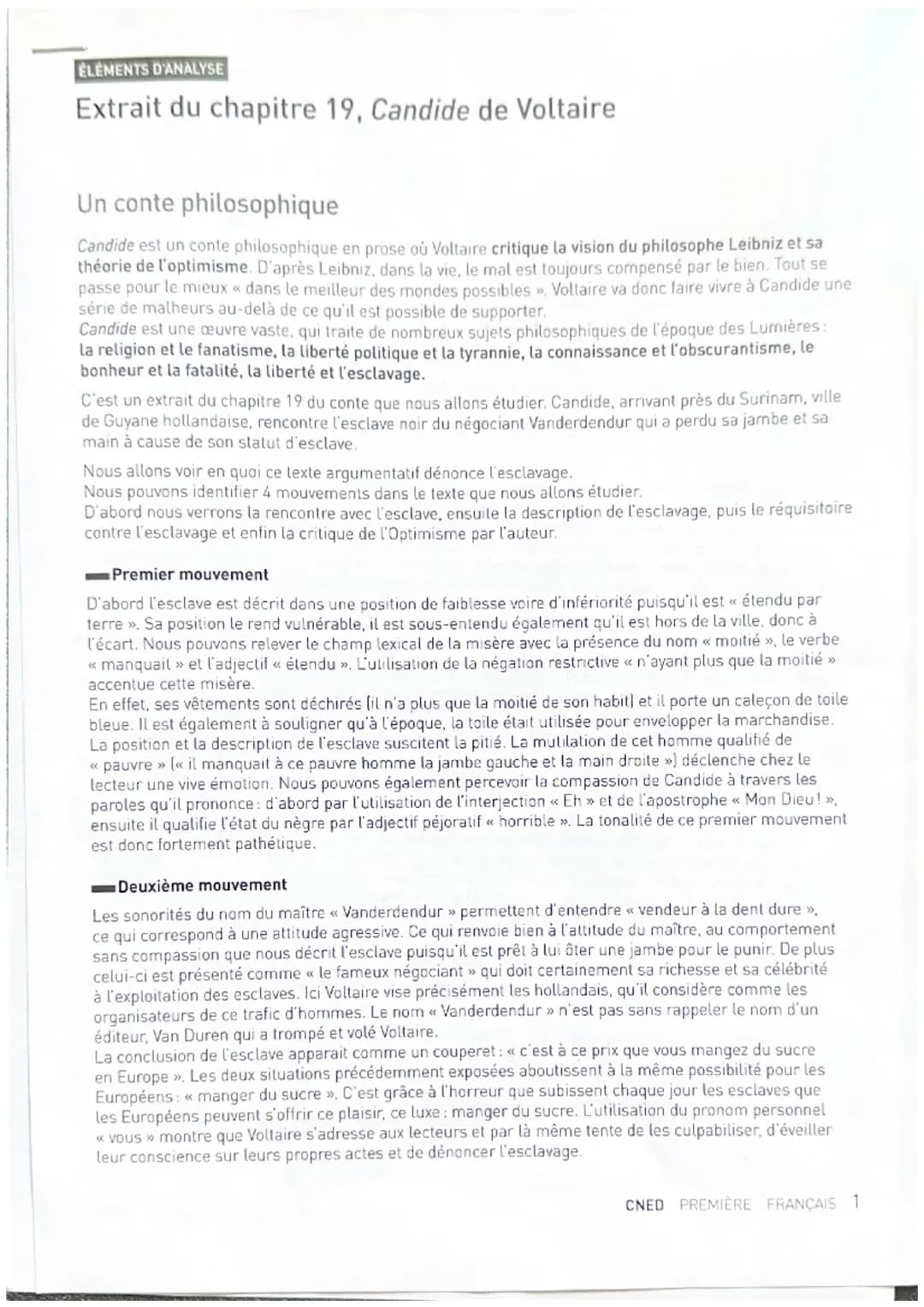 Analyse linéaire du chapitre 19, Candide de voltaire 