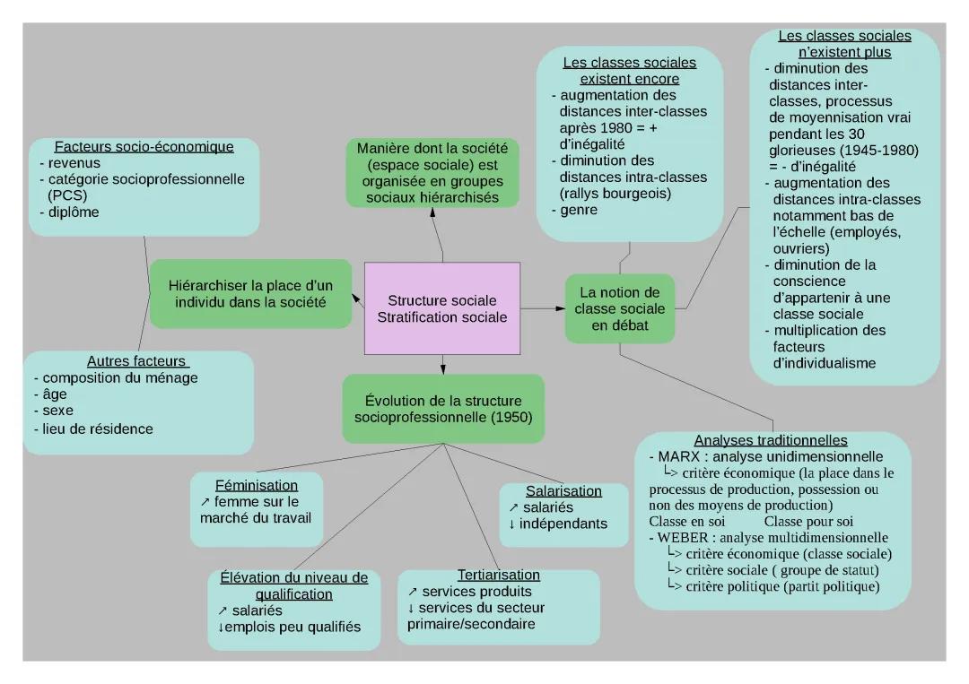 Carte mentale SES Terminale: Structure socioprofessionnelle, Commerce international et Classes Sociales Marx Weber