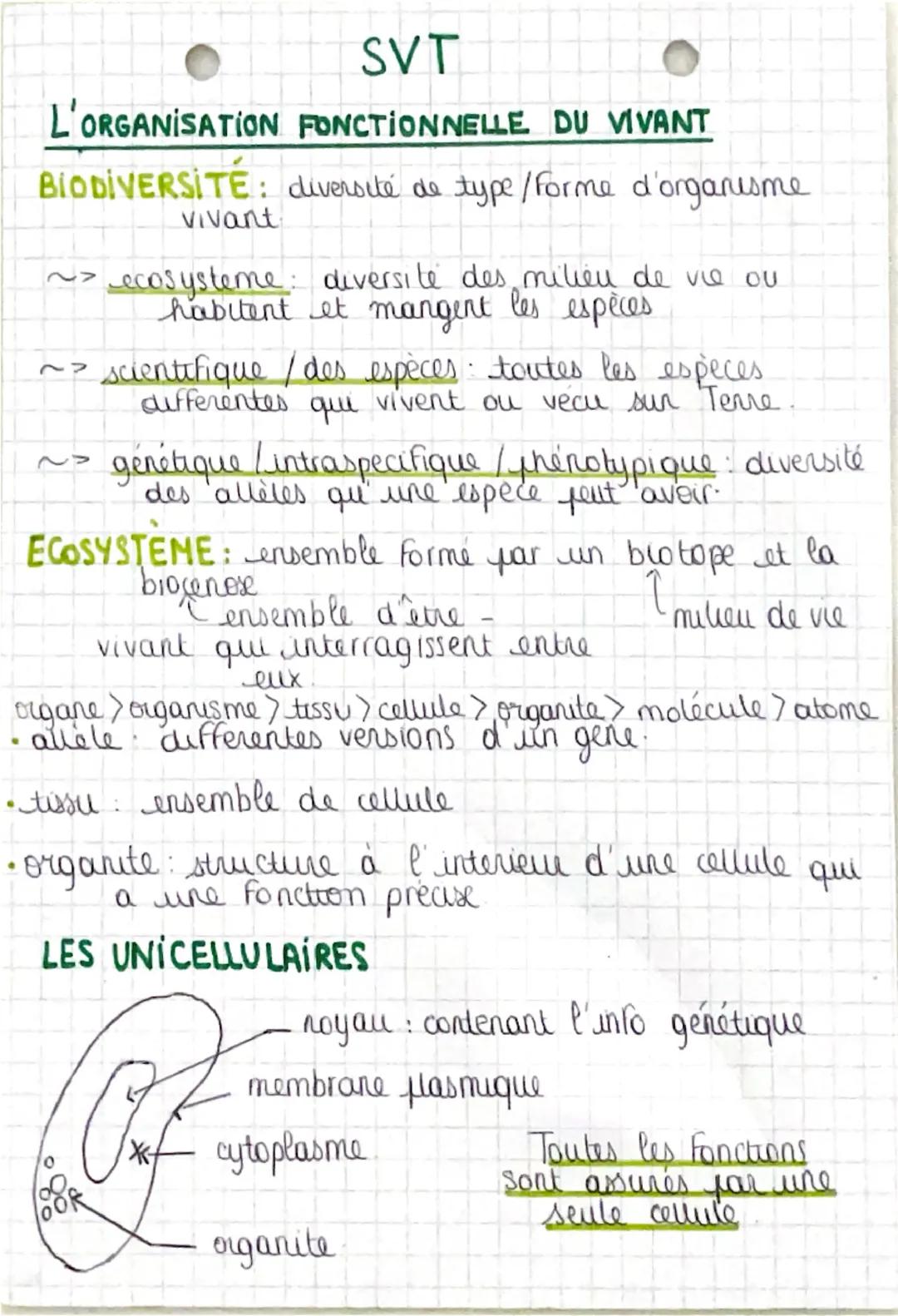 SVT
L'ORGANISATION FONCTIONNELLE DU VIVANT
BIODIVERSITÉ: diversité de type/Forme d'organisme
Vivant
~> ecosysteme: diversité des milieu de v