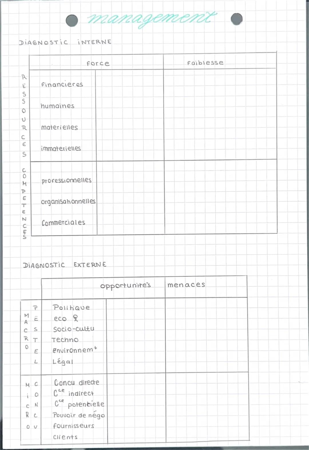 Exemples de diagnostic interne et externe en entreprise
