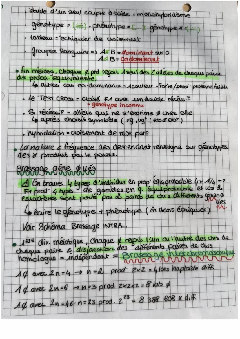 3
O
es lies (linkage)
Brassage avec genes
2 races pures drasophile
P dr. sauvage
X Pdr. phénotype alternatif
F1 dros. hybride
=>
La F1 posse