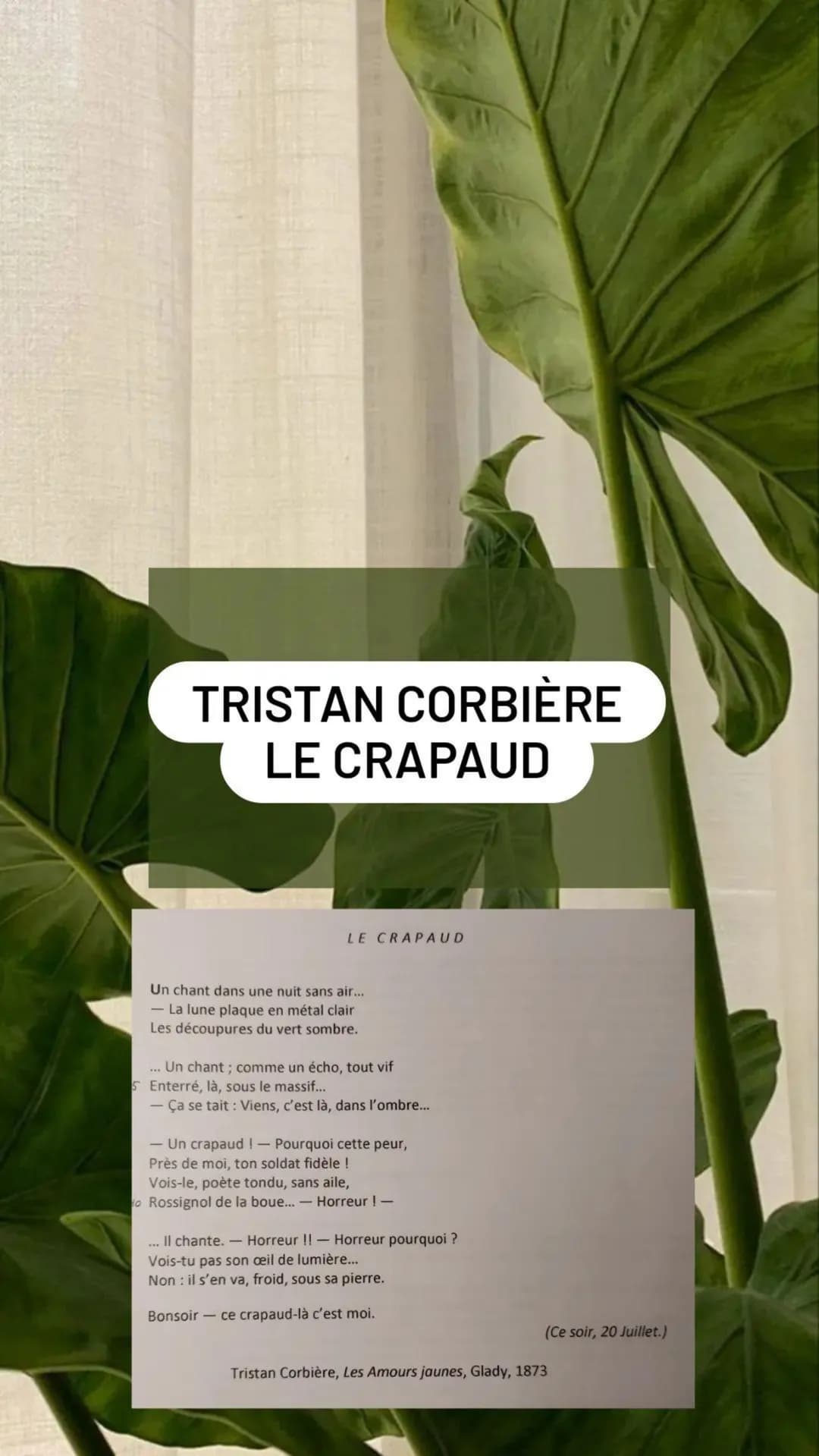 TRISTAN CORBIÈRE
LE CRAPAUD
LE CRAPAUD
Un chant dans une nuit sans air...
- La lune plaque en métal clair
Les découpures du vert sombre.
...