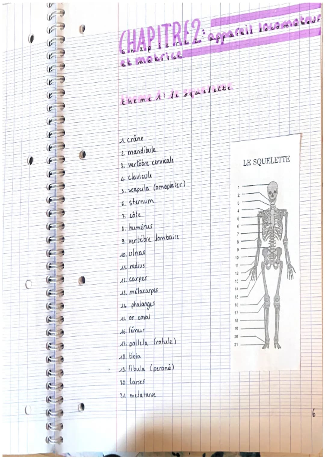 CHAPITRE 2: appareils locals
theme 1. le squelette
A crâne
2. mandibule
3. vertebre cervicale
4. clavicule
3. scapula (omoplater)
6. sternum