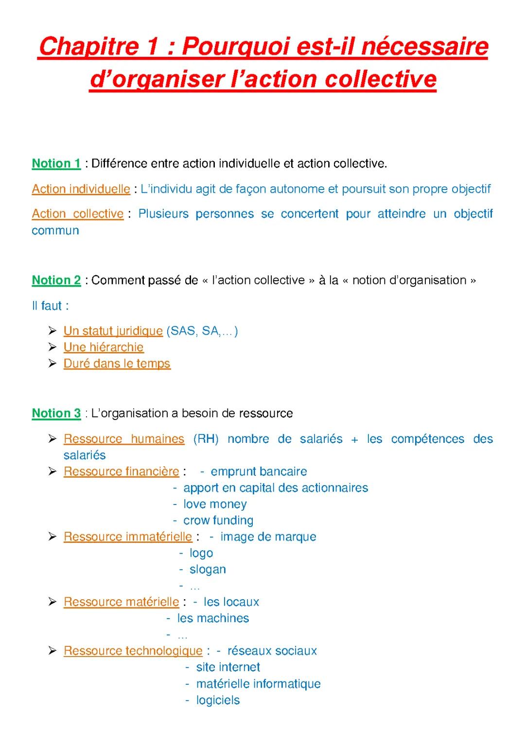 Cours Management 1ère STMG - Chapitre 1: Pourquoi l'action collective est importante