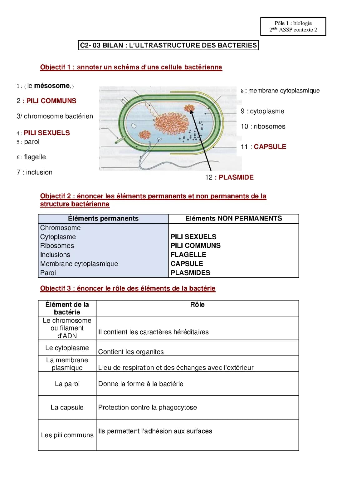 Tout sur la Structure et Morphologie des Bactéries - PDF et Schémas