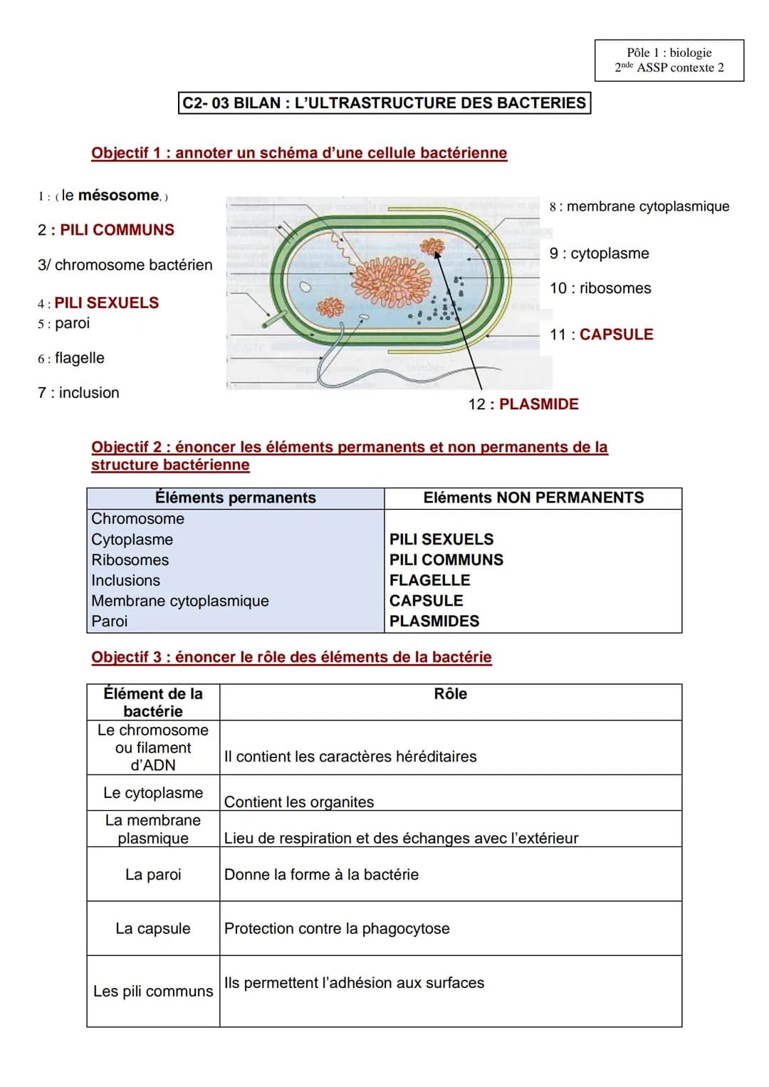 Objectif 1 annoter un schéma d'une cellule bactérienne
1: (le mésosome,)
2: PILI COMMUNS
C2-03 BILAN : L'ULTRASTRUCTURE DES BACTERIES
3/ chr