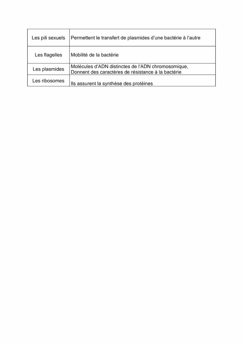 Objectif 1 annoter un schéma d'une cellule bactérienne
1: (le mésosome,)
2: PILI COMMUNS
C2-03 BILAN : L'ULTRASTRUCTURE DES BACTERIES
3/ chr