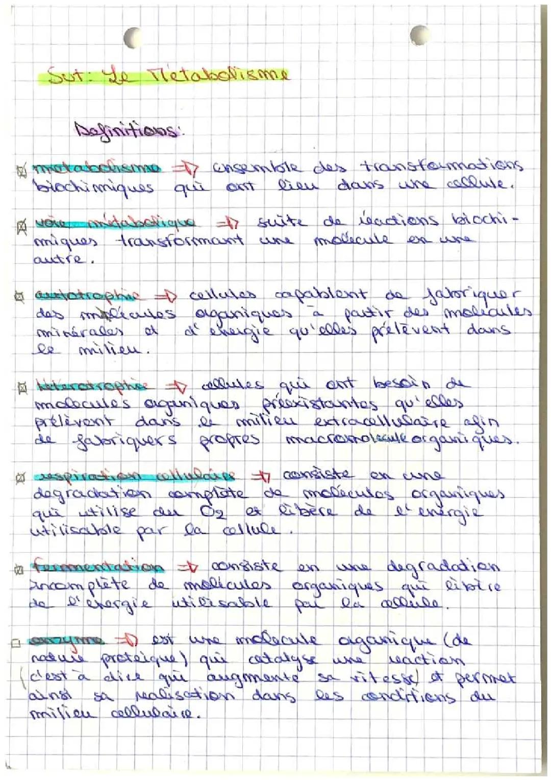 Découvre le Métabolisme Cellulaire: Cours et Exercice Corrigé Seconde