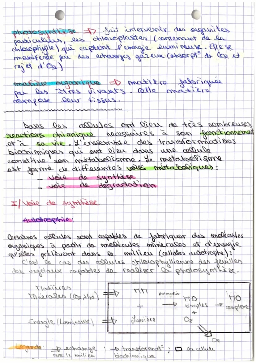 C
Sut: Le Tetabolisme
Definitions:
A motabolisime =17 ensemble des transformations
biochimiques qui ont
lien dans who cachute.
A vele andabo